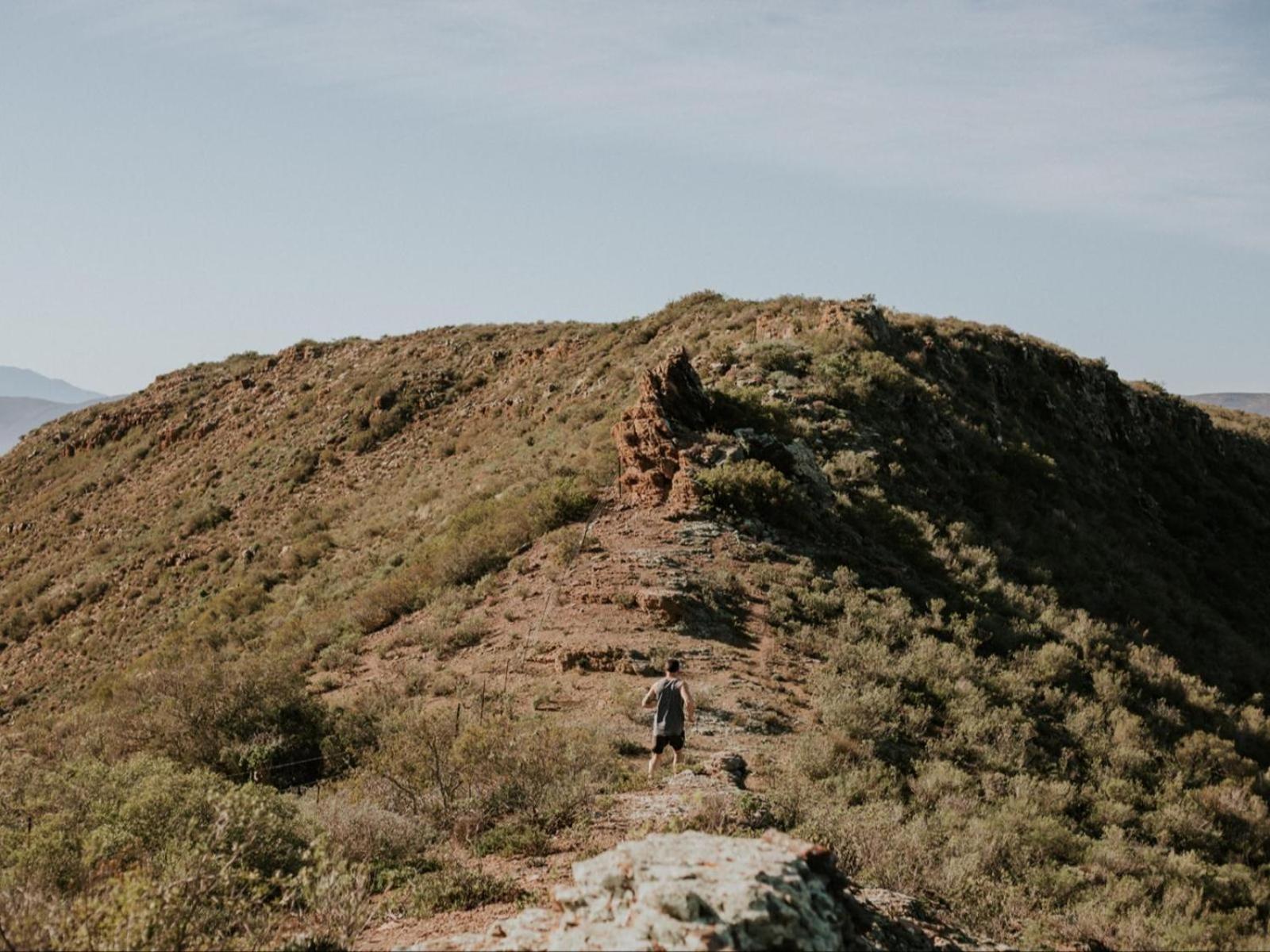 Khanyisa Mountain Robertson